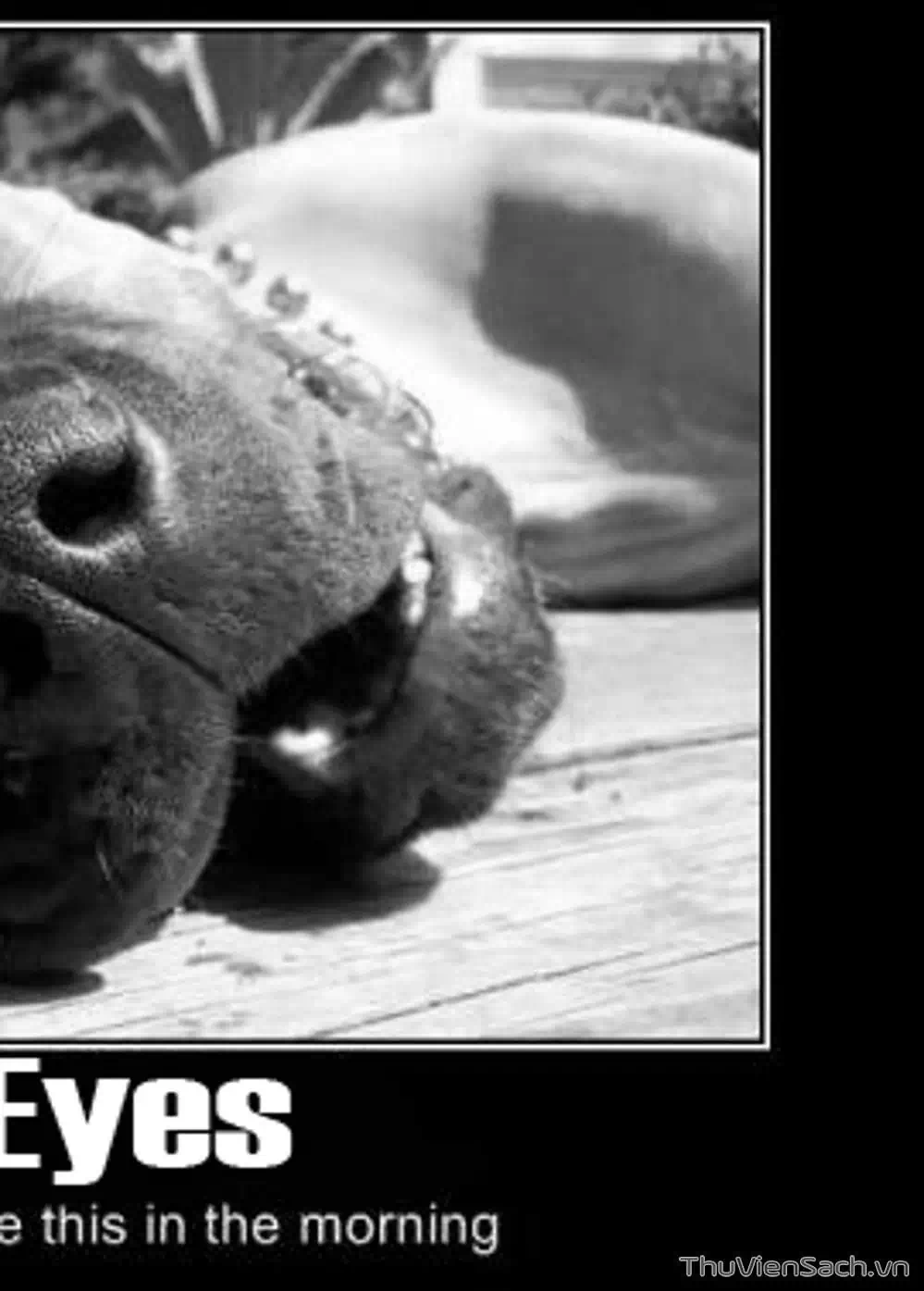 Truyện Tranh Cô Bé Ba Mắt - 3X3 Eyes trang 6