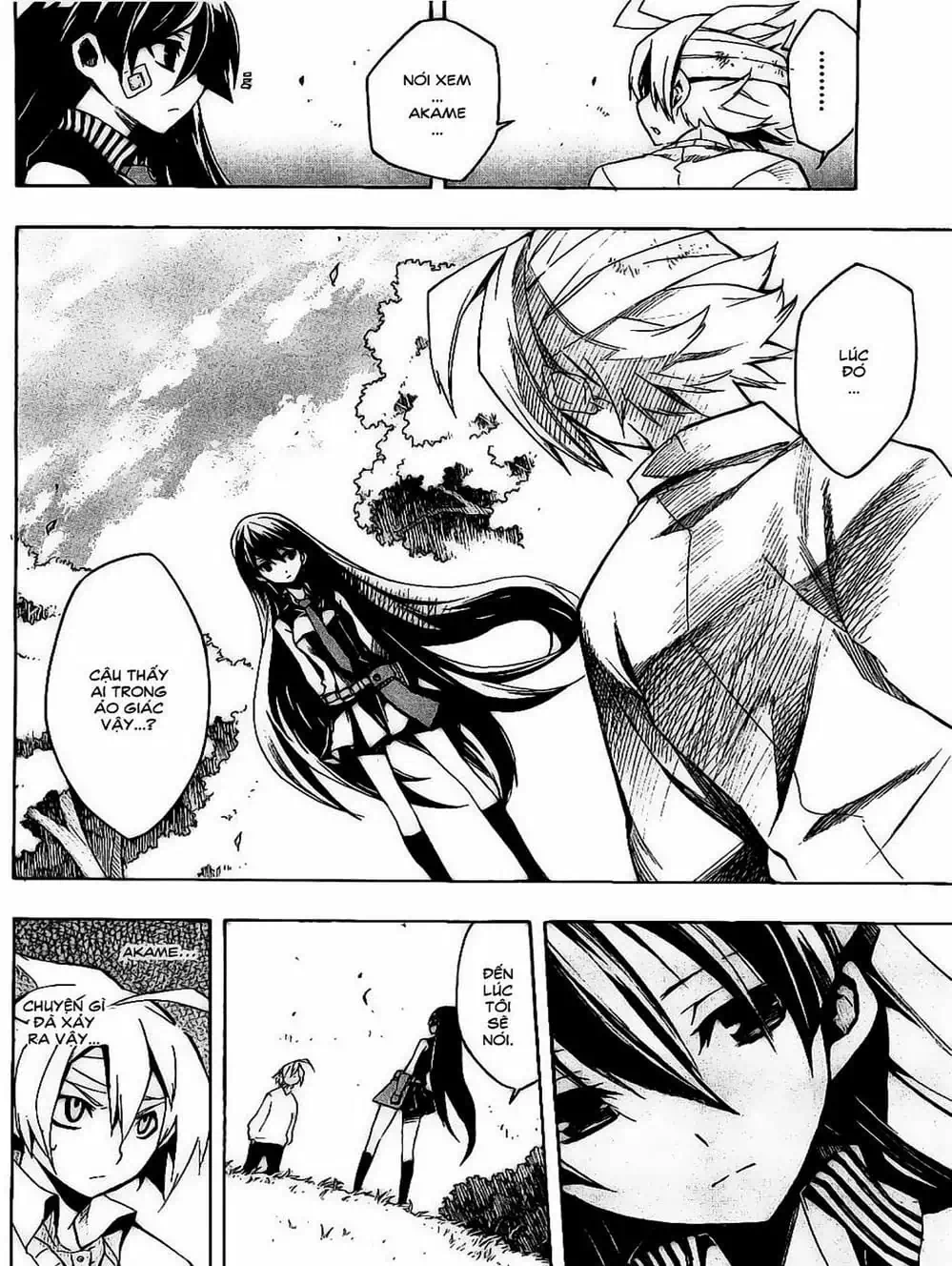 Truyện Tranh Xích Nhãn Sát Thủ - Akame Ga Kill! trang 7