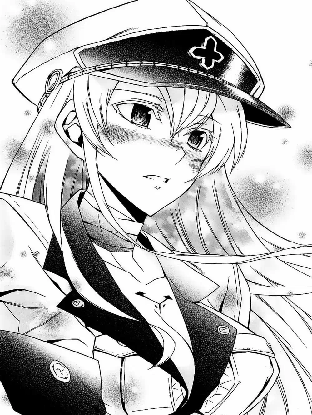 Truyện Tranh Xích Nhãn Sát Thủ - Akame Ga Kill! trang 7