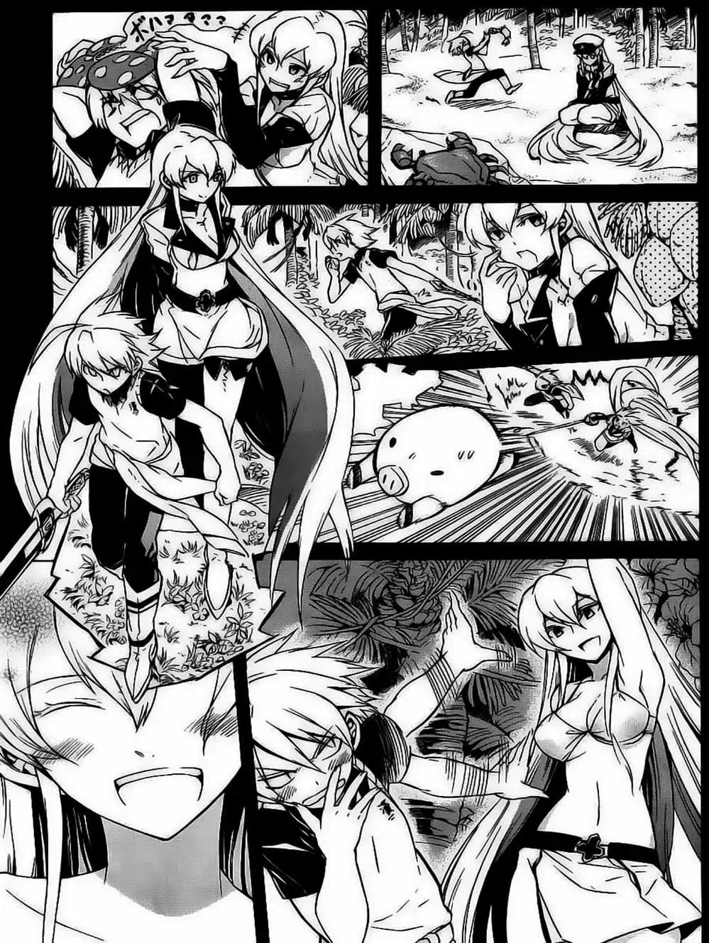 Truyện Tranh Xích Nhãn Sát Thủ - Akame Ga Kill! trang 7