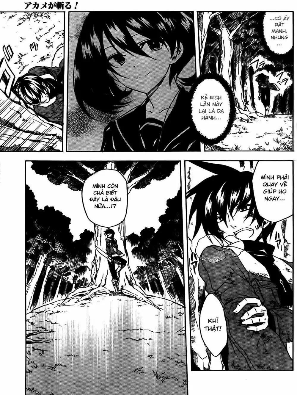 Truyện Tranh Xích Nhãn Sát Thủ - Akame Ga Kill! trang 7