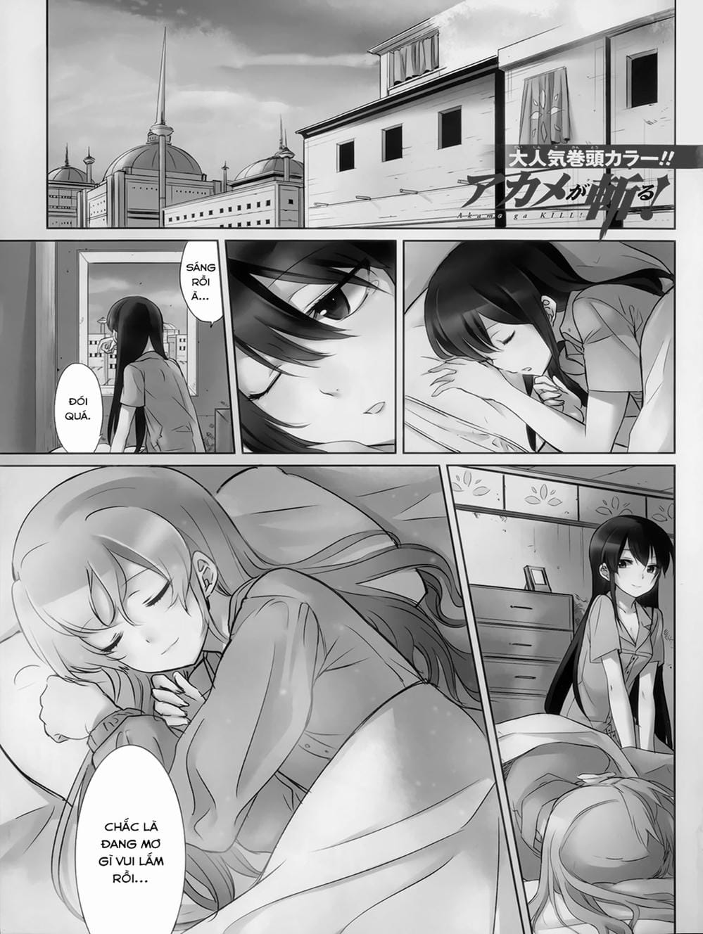 Truyện Tranh Xích Nhãn Sát Thủ - Akame Ga Kill! trang 7