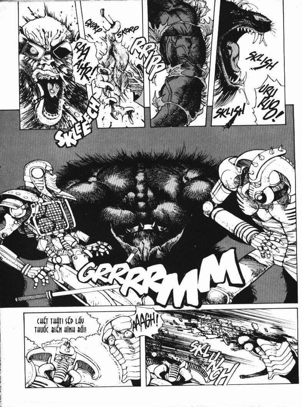 Truyện Tranh Alita: Thiên Thần Chiến Binh trang 6