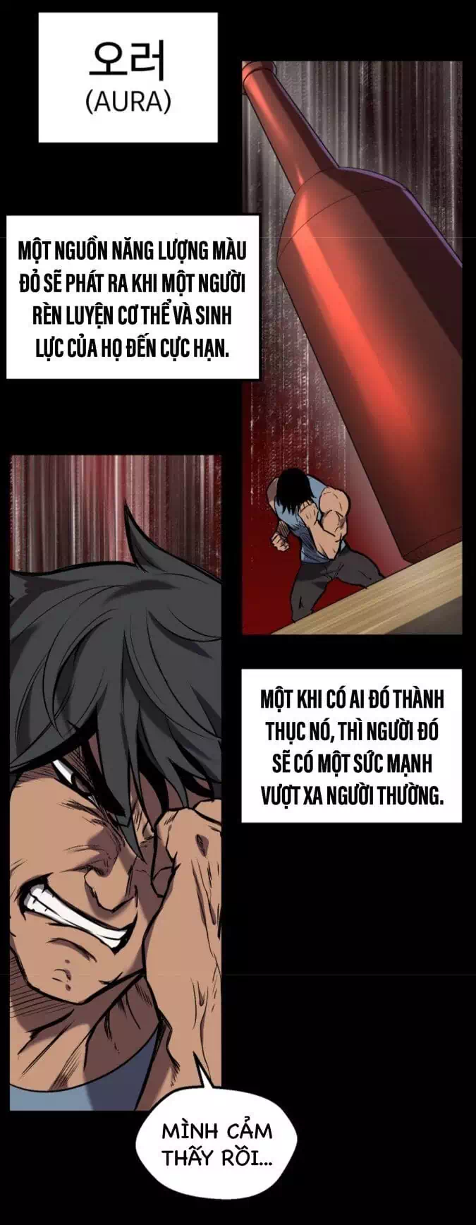 Truyện Tranh Anh Hùng Mạnh Nhất? Ta Không Làm Lâu Rồi! trang 5
