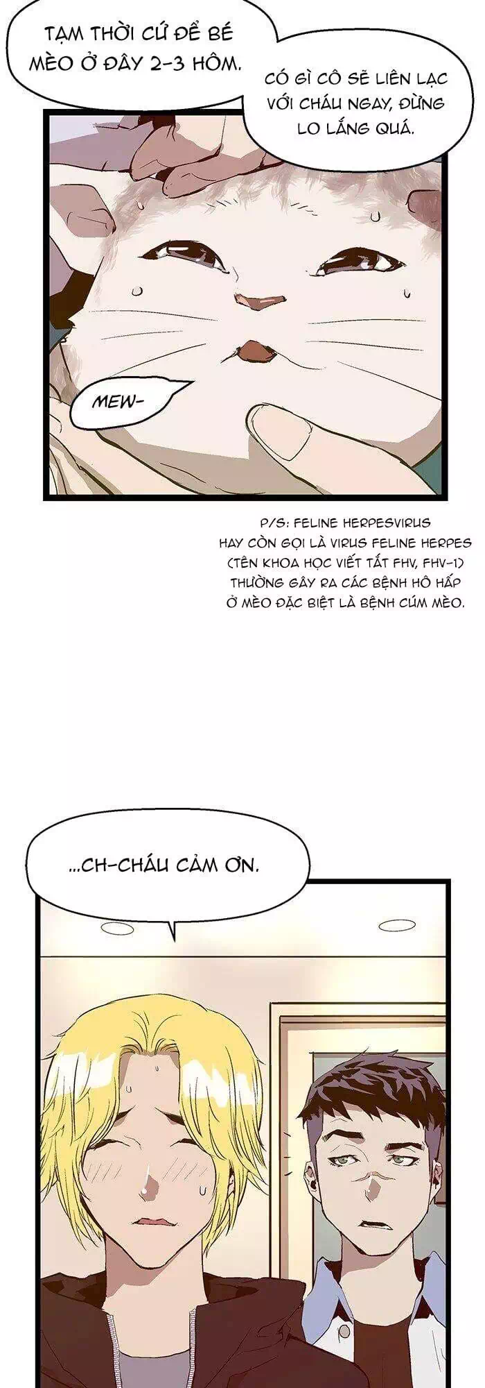 Truyện Tranh Anh Hùng Yếu - The Weakest Hero trang 5