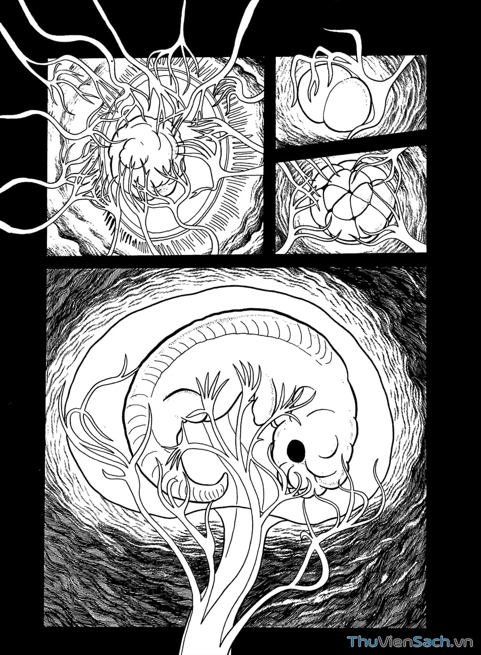 Truyện Tranh Bài Hát Của Apollo - Apollo’s Song trang 2