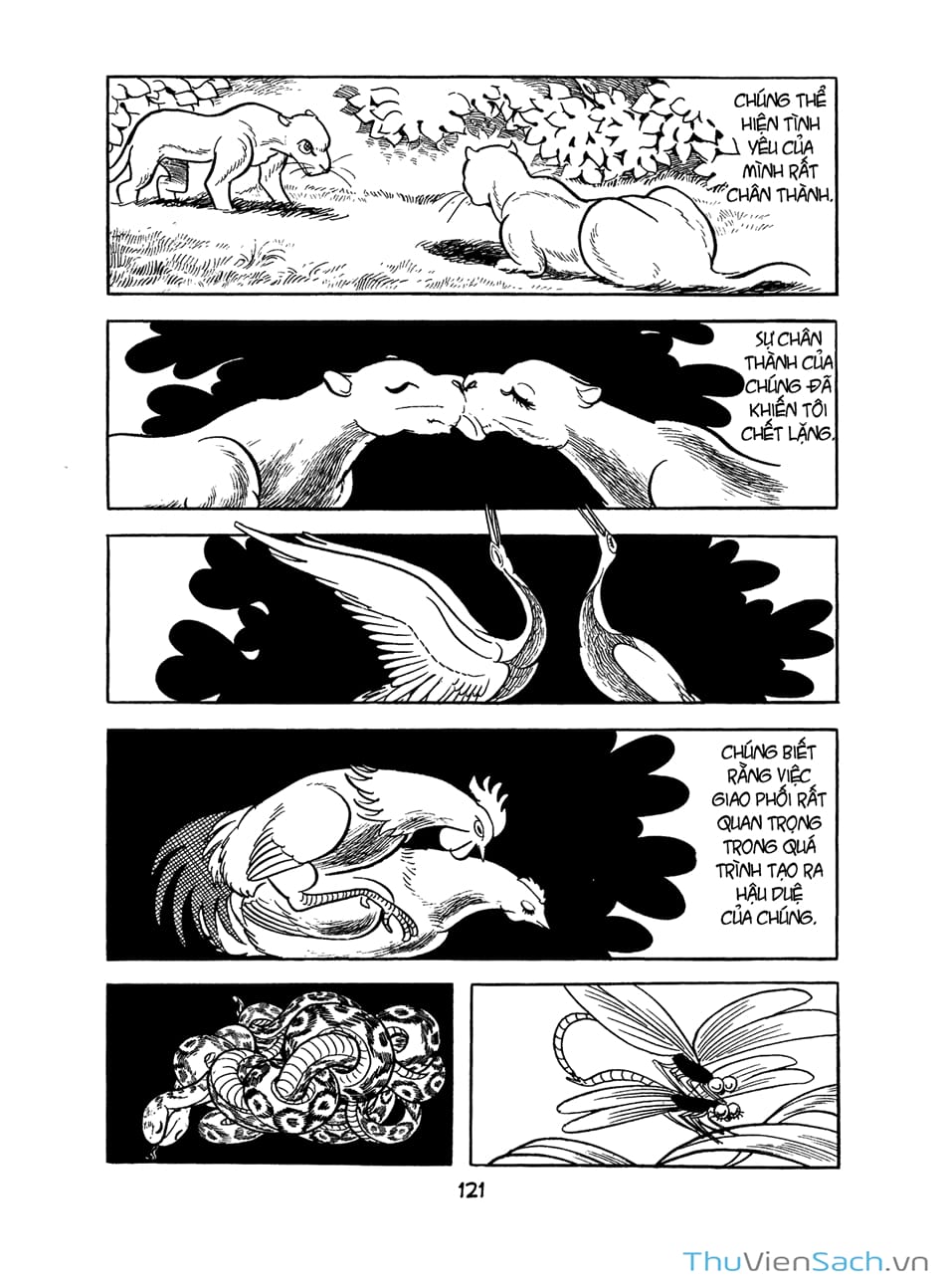 Truyện Tranh Bài Hát Của Apollo - Apollo’s Song trang 2