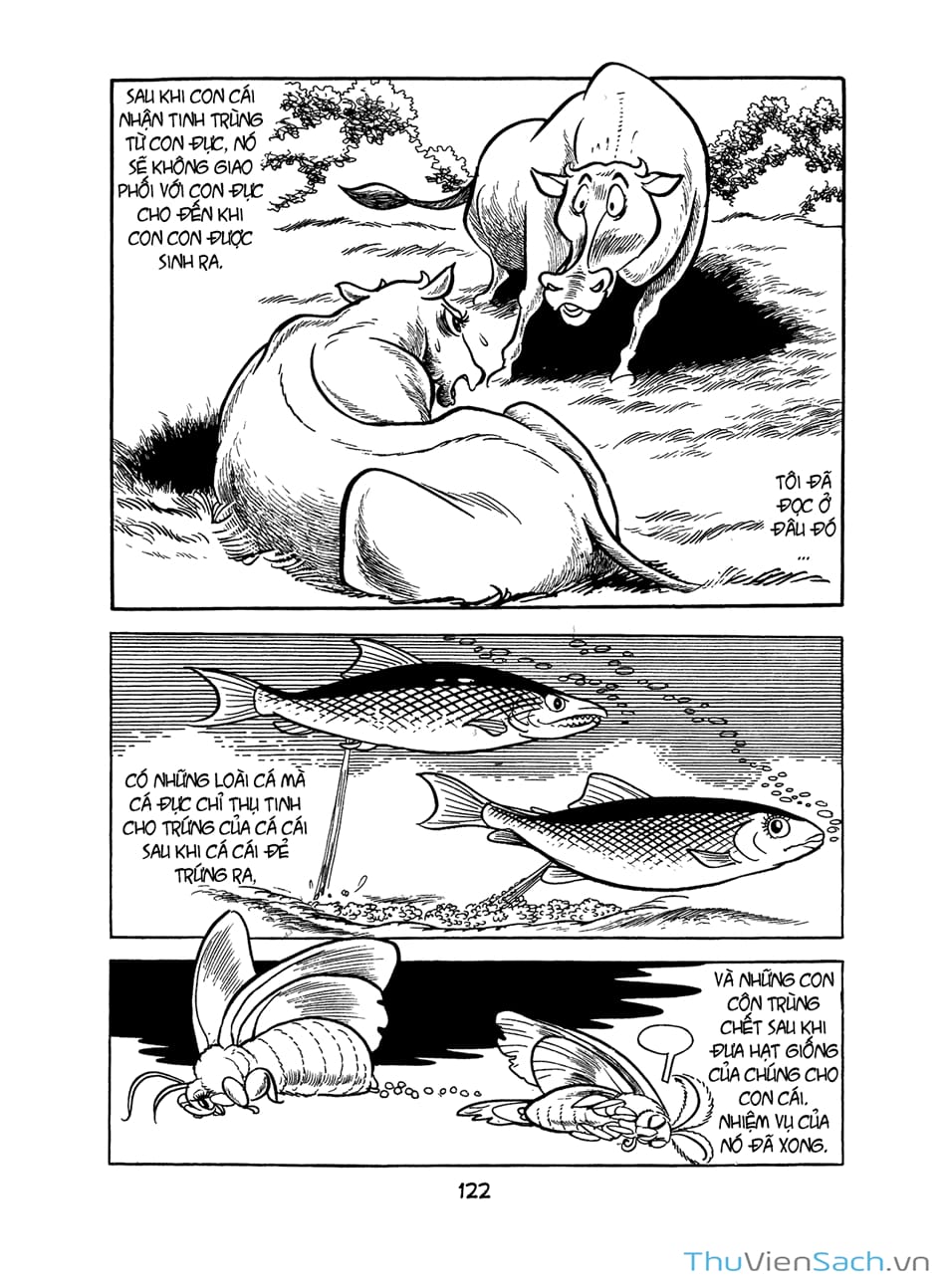 Truyện Tranh Bài Hát Của Apollo - Apollo’s Song trang 2