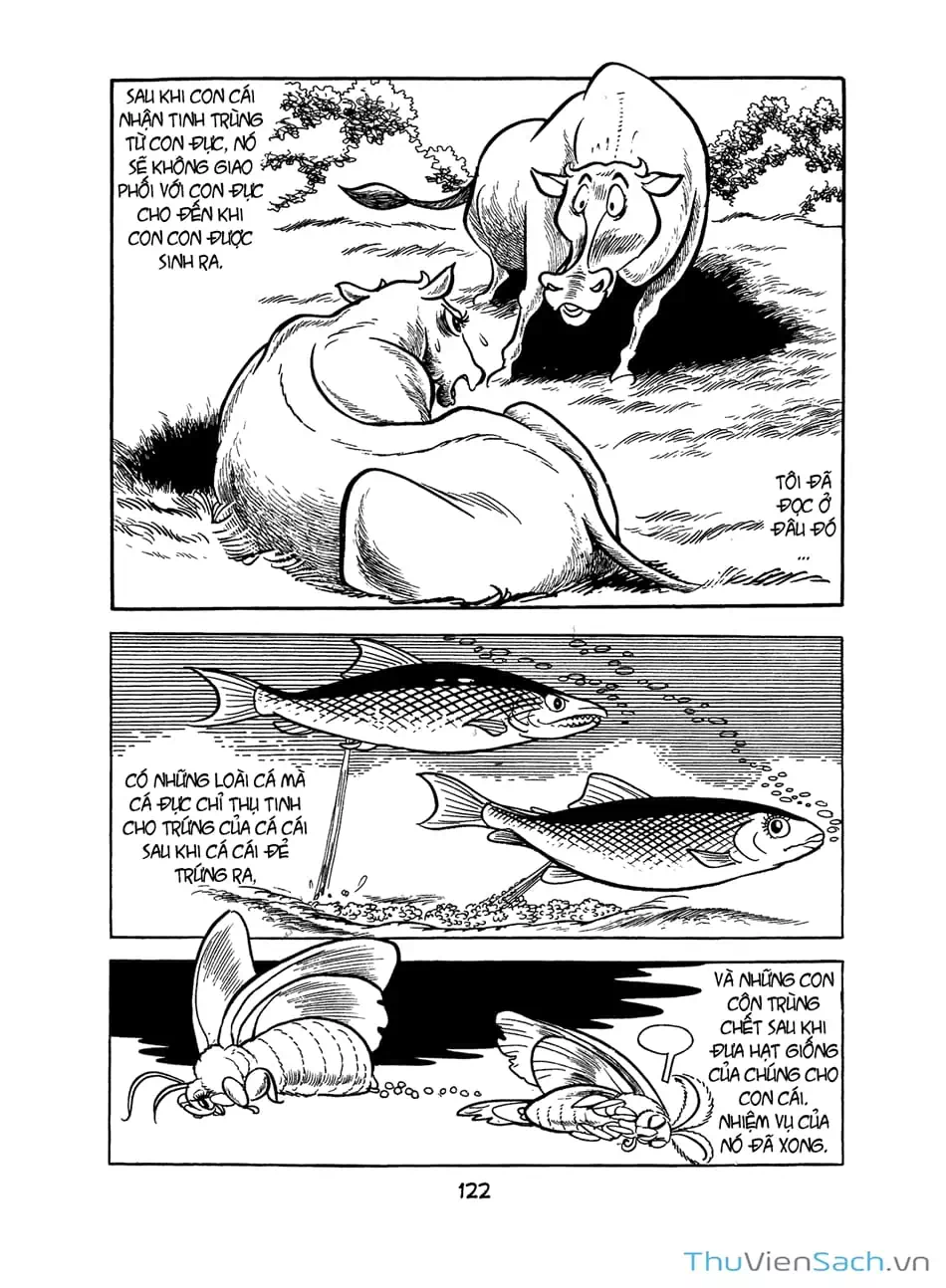 Truyện Tranh Bài Hát Của Apollo - Apollo’s Song trang 2