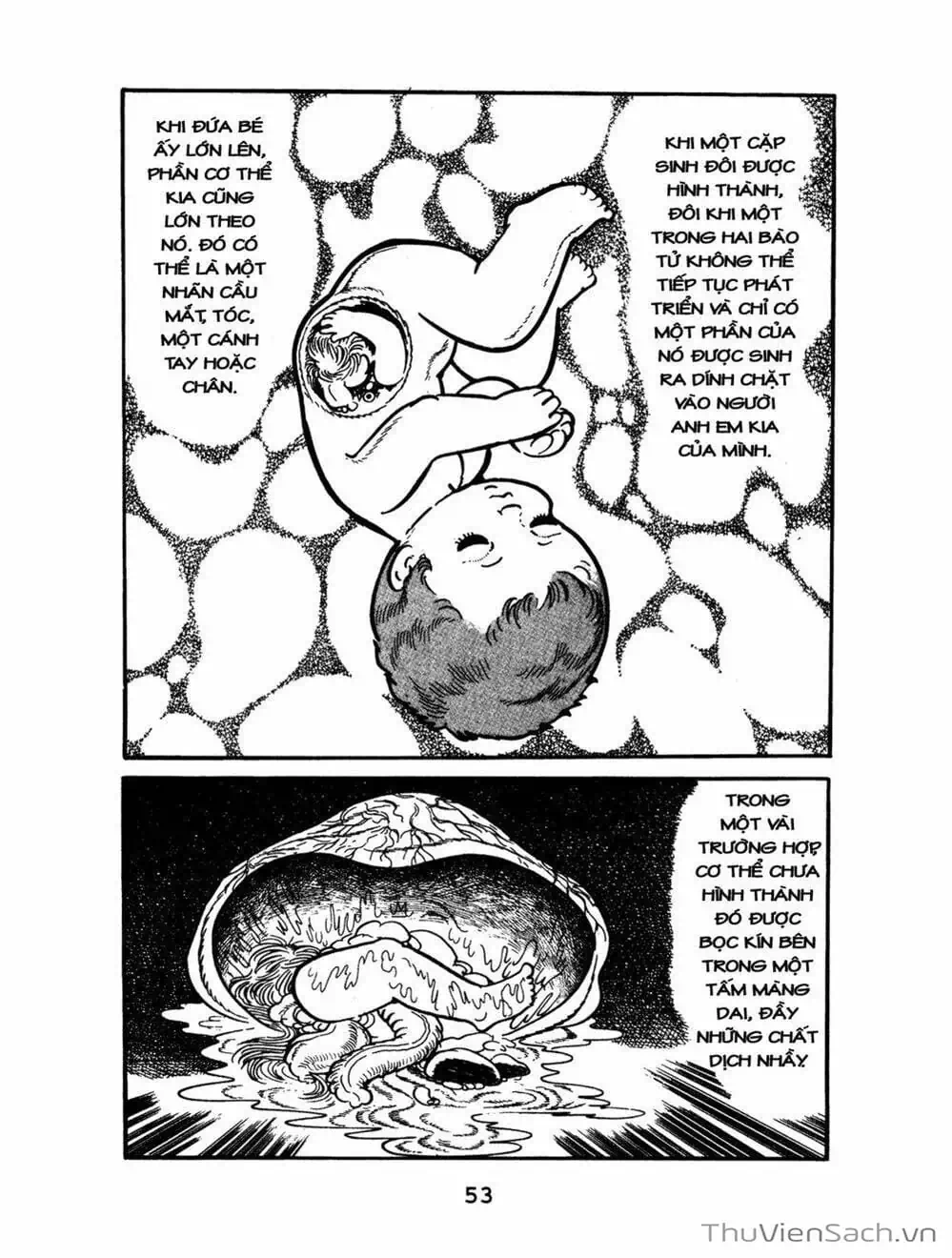 Truyện Tranh Bác Sĩ Quái Dị - Black Jack trang 3