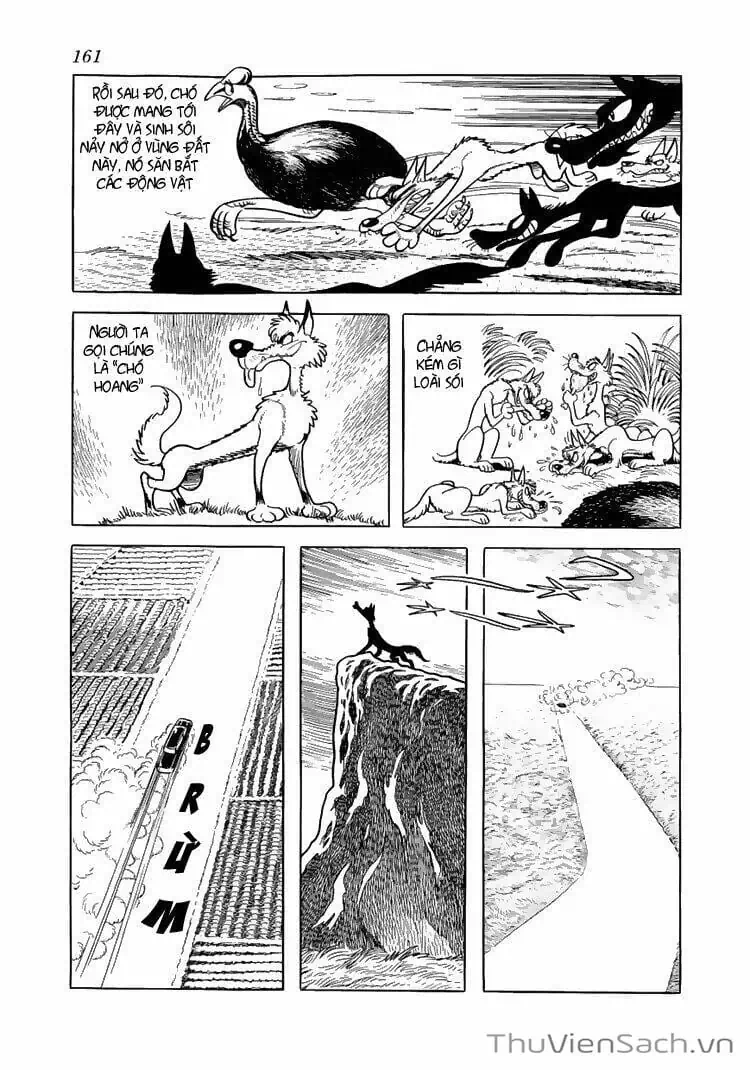 Truyện Tranh Bác Sĩ Quái Dị - Black Jack trang 3