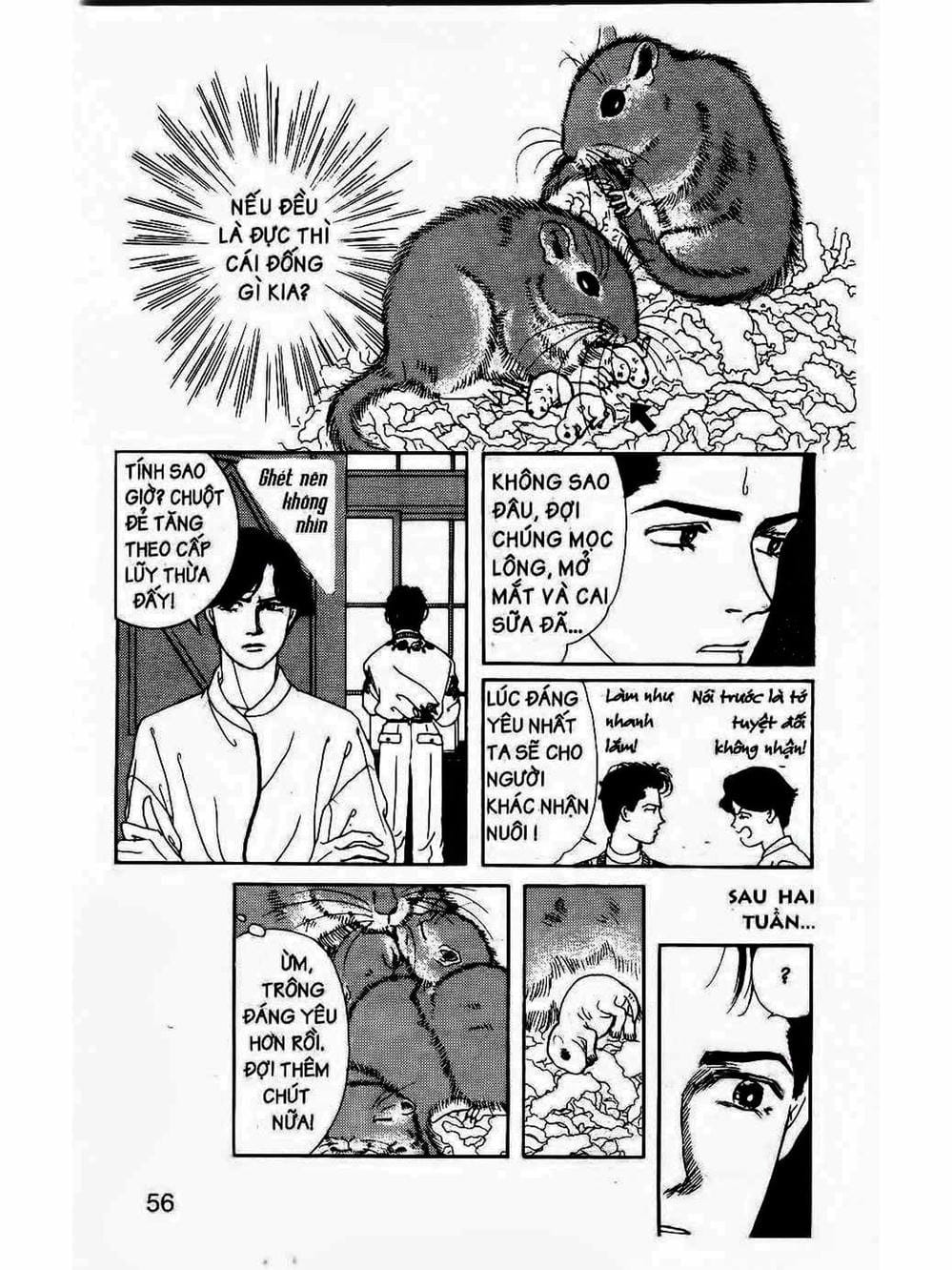 Truyện Tranh Bác Sĩ Thú Y - Doubutsu No Oisha-San trang 4