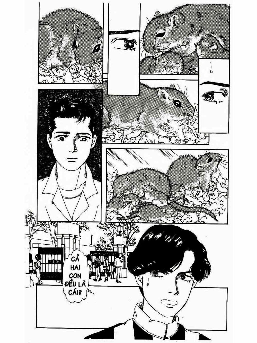 Truyện Tranh Bác Sĩ Thú Y - Doubutsu No Oisha-San trang 4