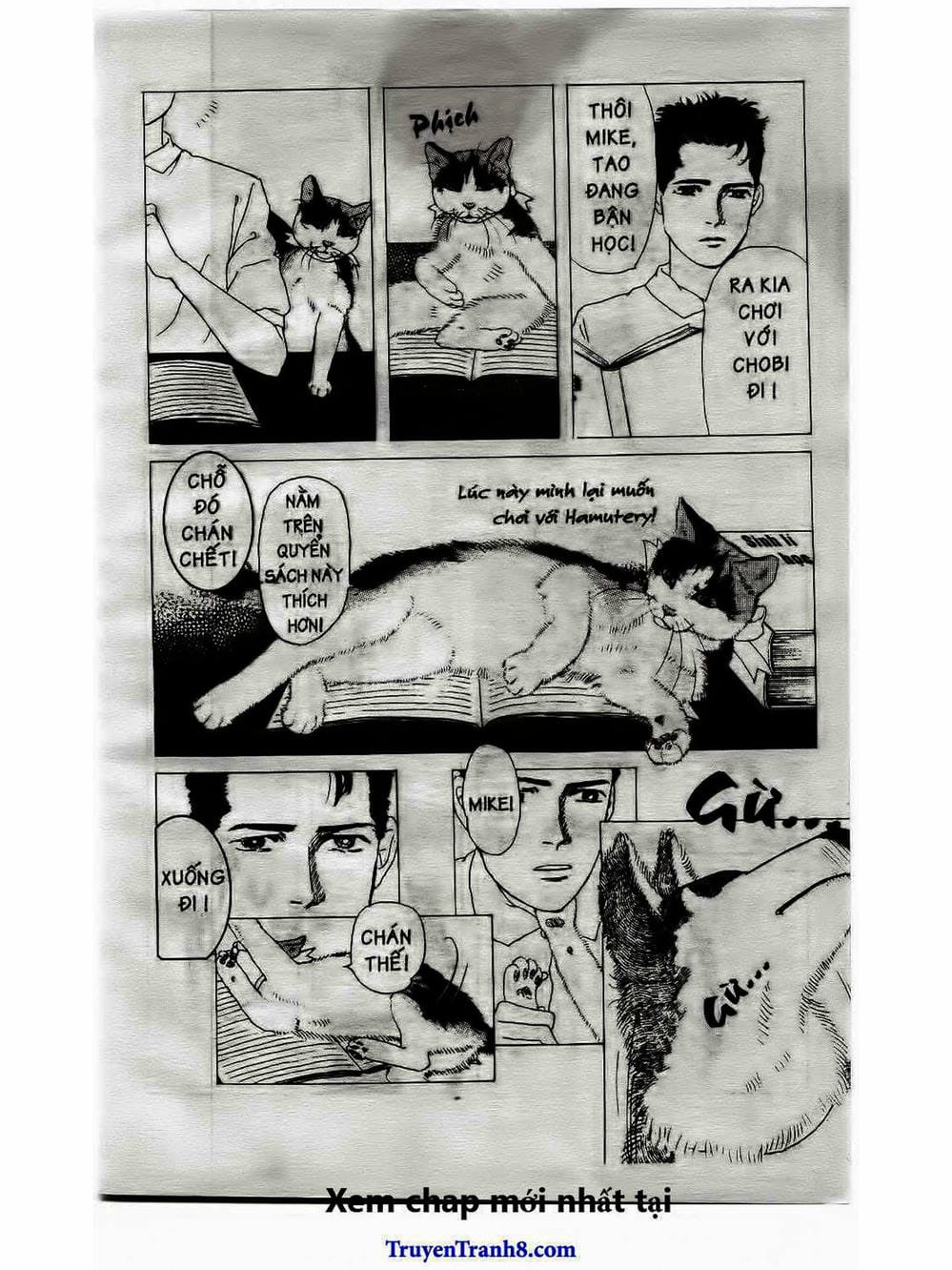 Truyện Tranh Bác Sĩ Thú Y - Doubutsu No Oisha-San trang 4