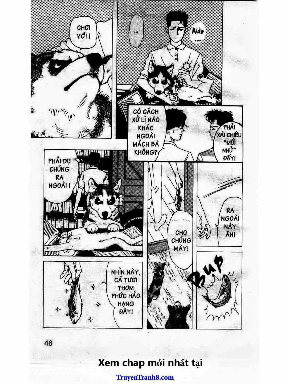 Truyện Tranh Bác Sĩ Thú Y - Doubutsu No Oisha-San trang 4