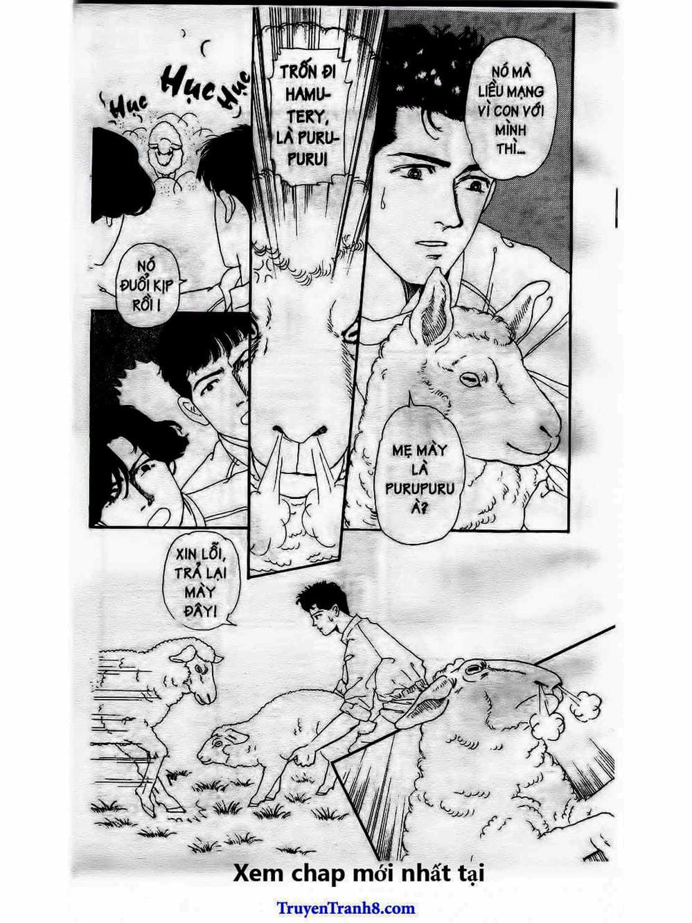 Truyện Tranh Bác Sĩ Thú Y - Doubutsu No Oisha-San trang 4