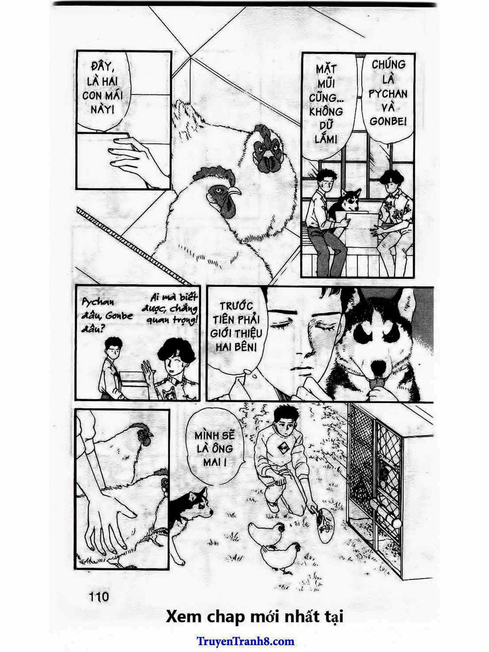 Truyện Tranh Bác Sĩ Thú Y - Doubutsu No Oisha-San trang 4