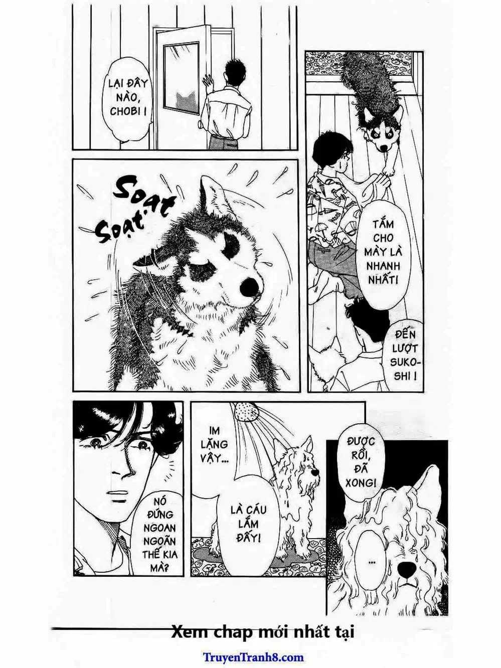 Truyện Tranh Bác Sĩ Thú Y - Doubutsu No Oisha-San trang 4