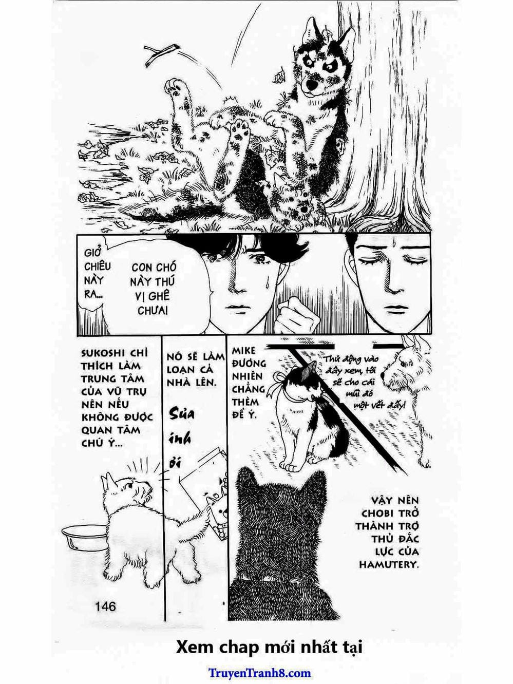 Truyện Tranh Bác Sĩ Thú Y - Doubutsu No Oisha-San trang 4