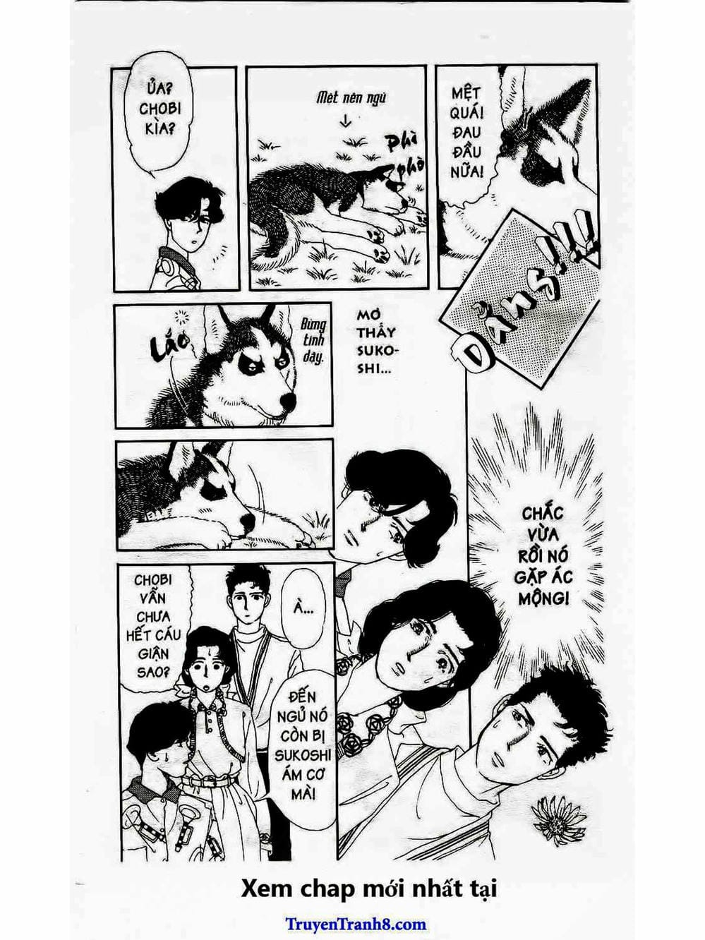 Truyện Tranh Bác Sĩ Thú Y - Doubutsu No Oisha-San trang 4