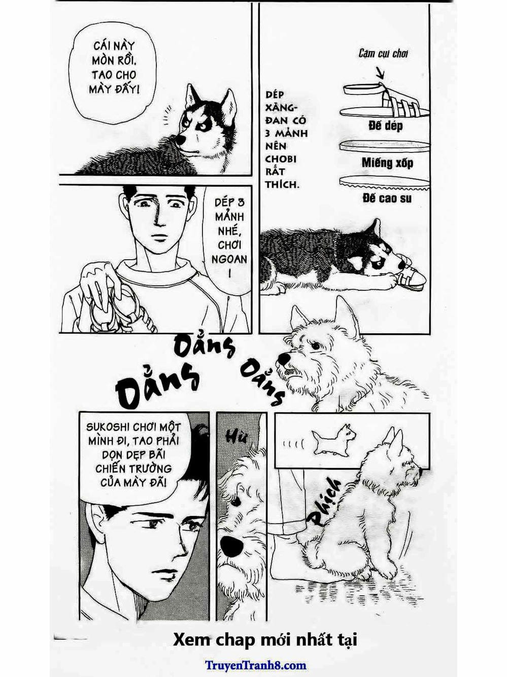 Truyện Tranh Bác Sĩ Thú Y - Doubutsu No Oisha-San trang 4