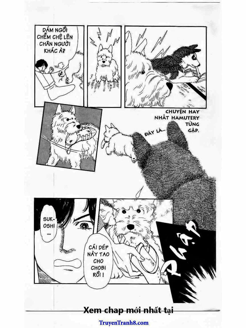 Truyện Tranh Bác Sĩ Thú Y - Doubutsu No Oisha-San trang 4