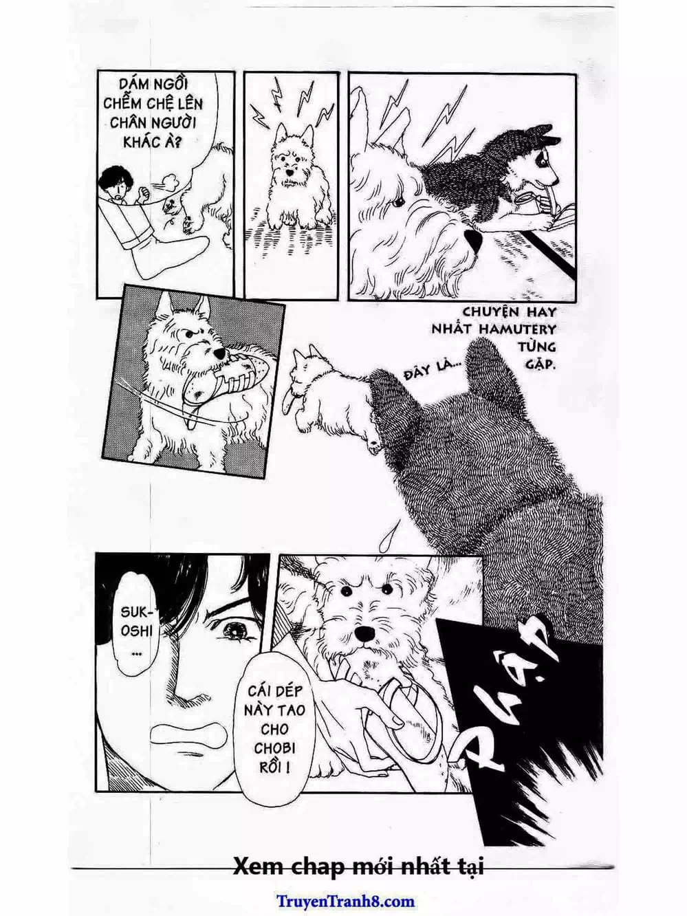 Truyện Tranh Bác Sĩ Thú Y - Doubutsu No Oisha-San trang 4