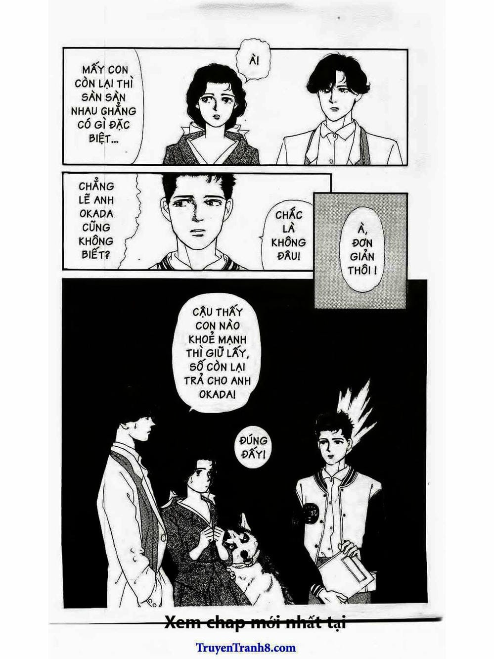 Truyện Tranh Bác Sĩ Thú Y - Doubutsu No Oisha-San trang 4