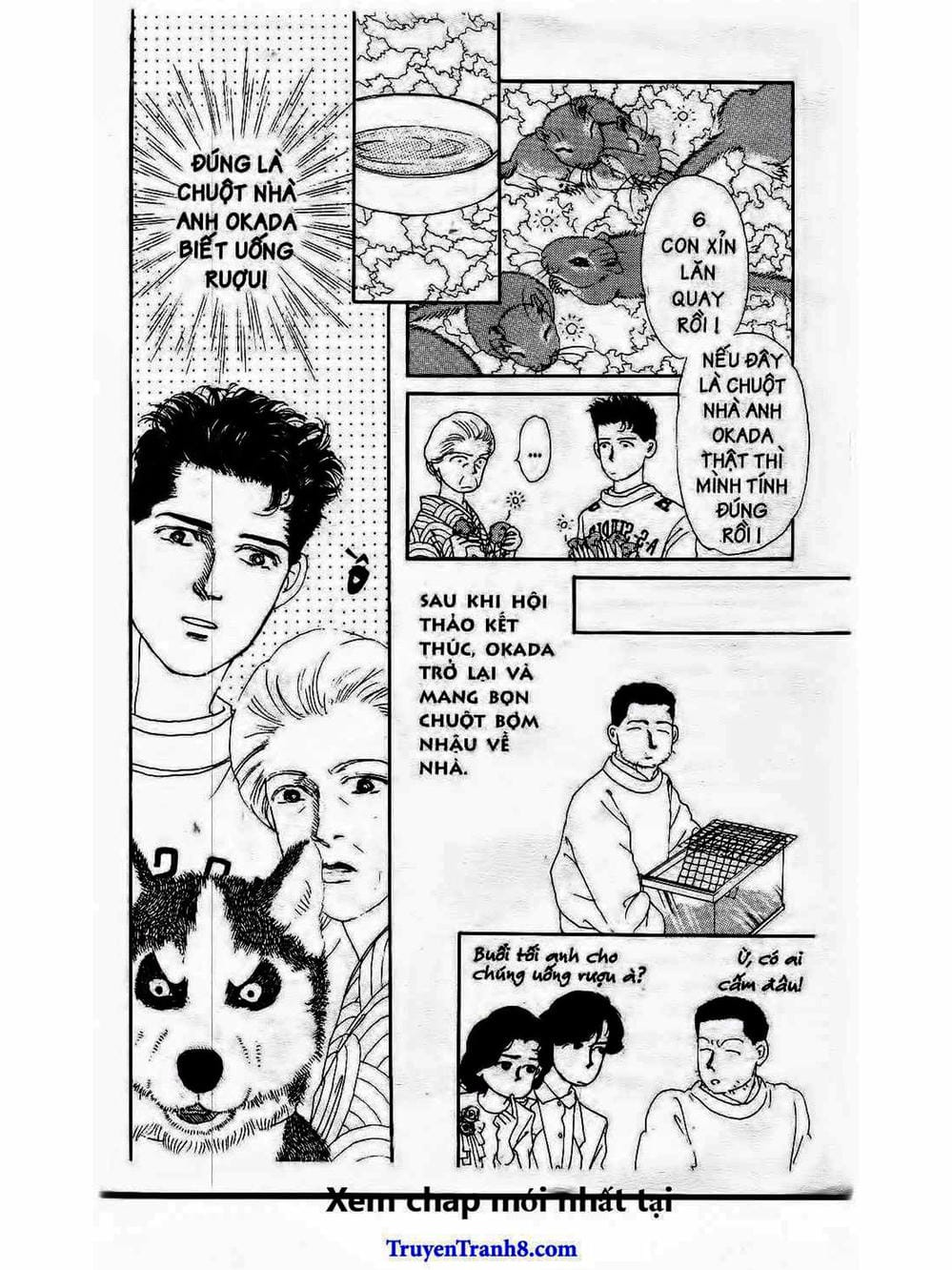 Truyện Tranh Bác Sĩ Thú Y - Doubutsu No Oisha-San trang 4