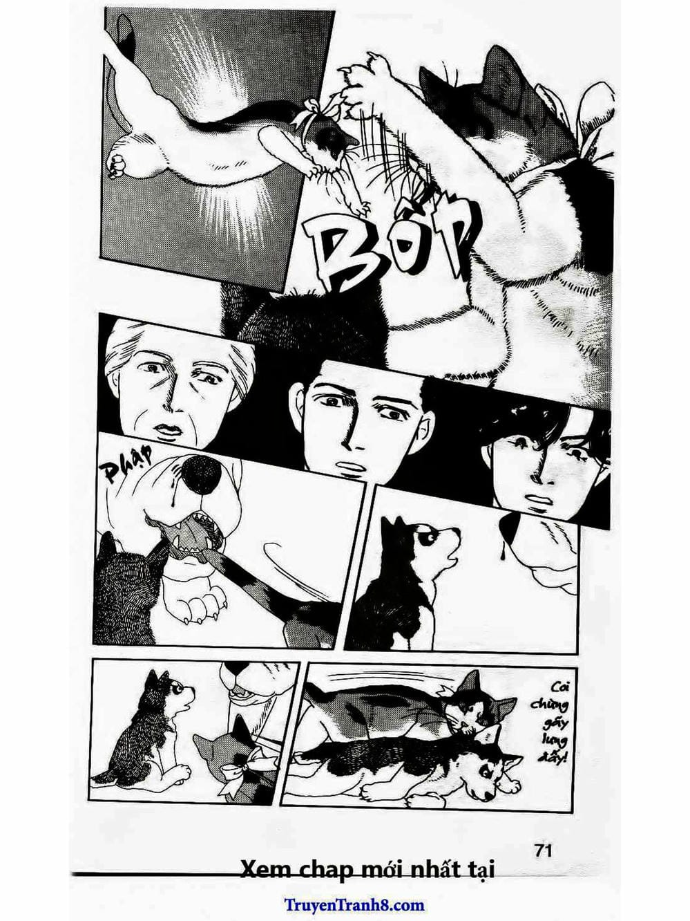 Truyện Tranh Bác Sĩ Thú Y - Doubutsu No Oisha-San trang 4