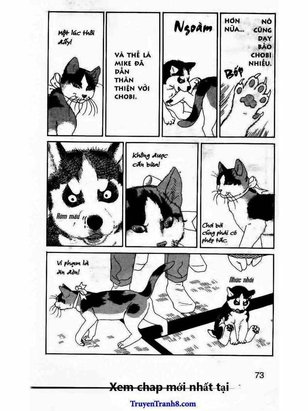 Truyện Tranh Bác Sĩ Thú Y - Doubutsu No Oisha-San trang 4