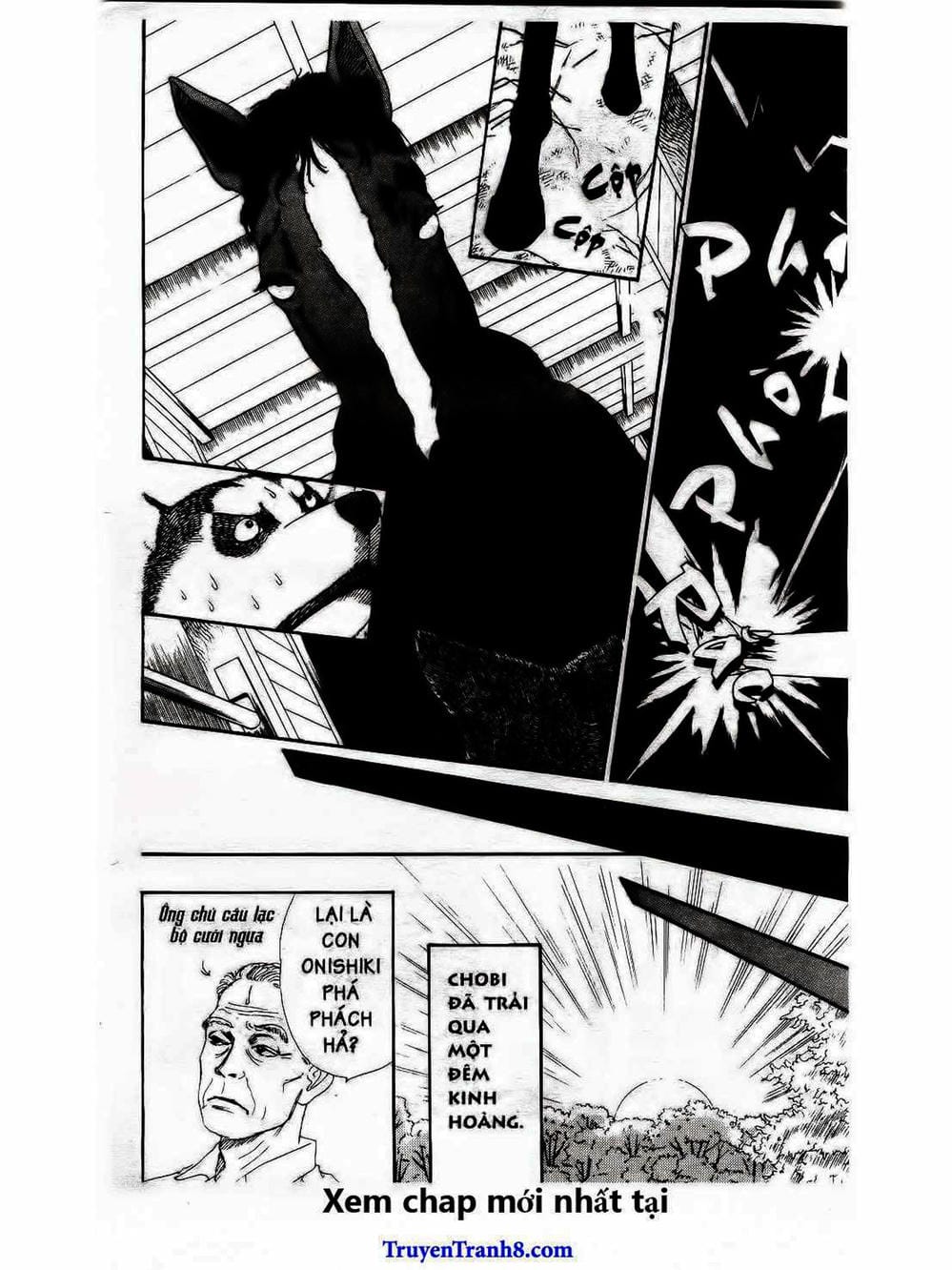 Truyện Tranh Bác Sĩ Thú Y - Doubutsu No Oisha-San trang 4