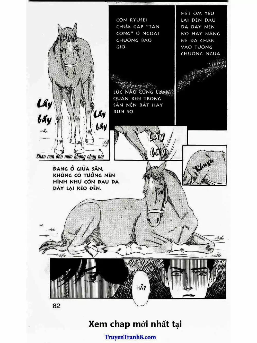 Truyện Tranh Bác Sĩ Thú Y - Doubutsu No Oisha-San trang 4