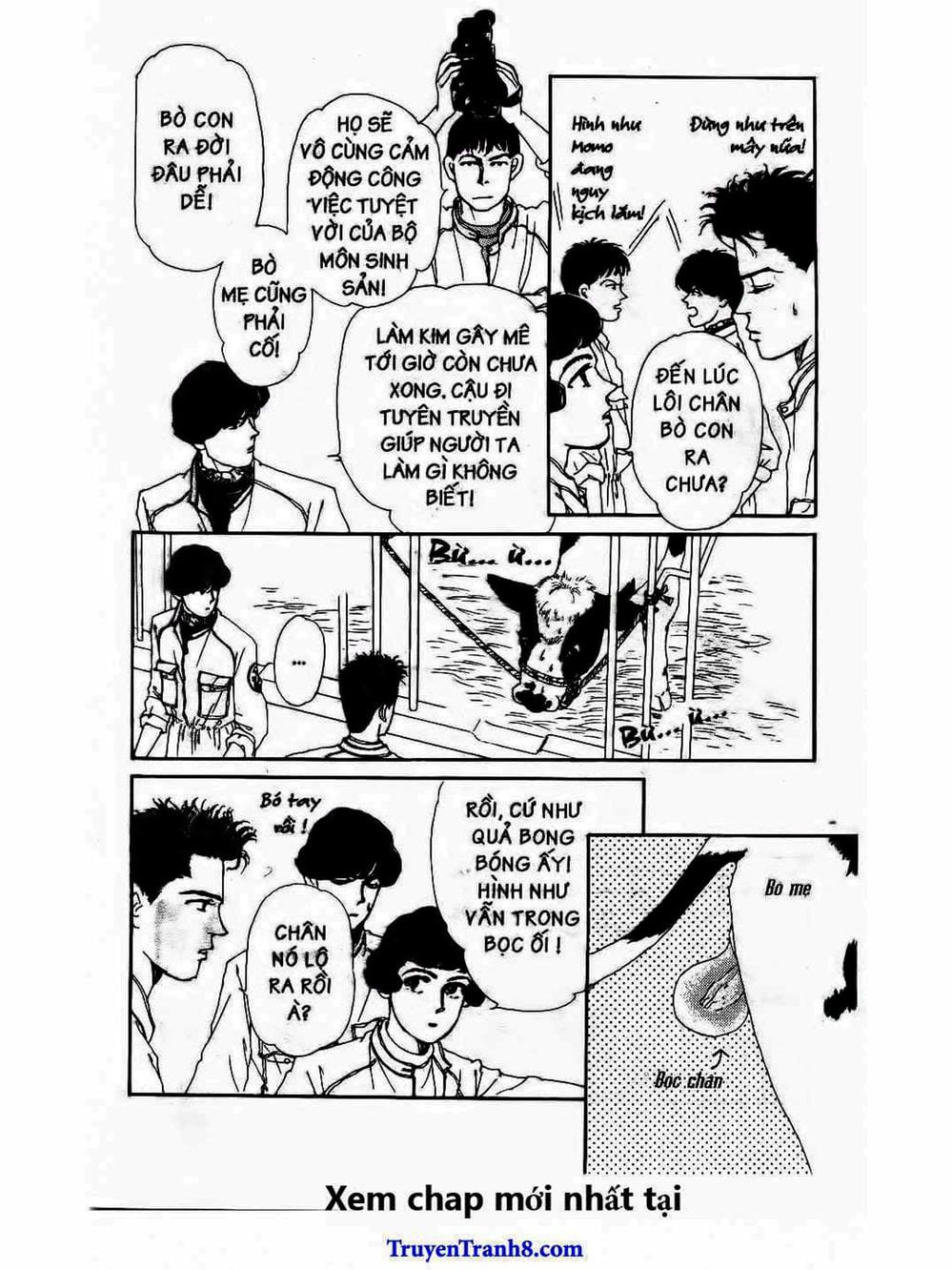 Truyện Tranh Bác Sĩ Thú Y - Doubutsu No Oisha-San trang 4