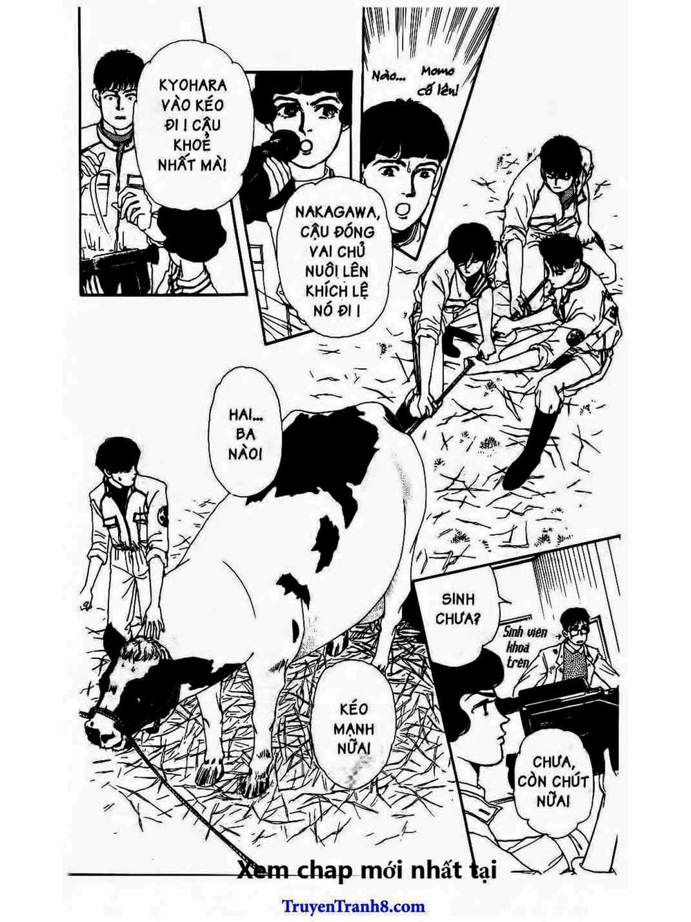 Truyện Tranh Bác Sĩ Thú Y - Doubutsu No Oisha-San trang 4