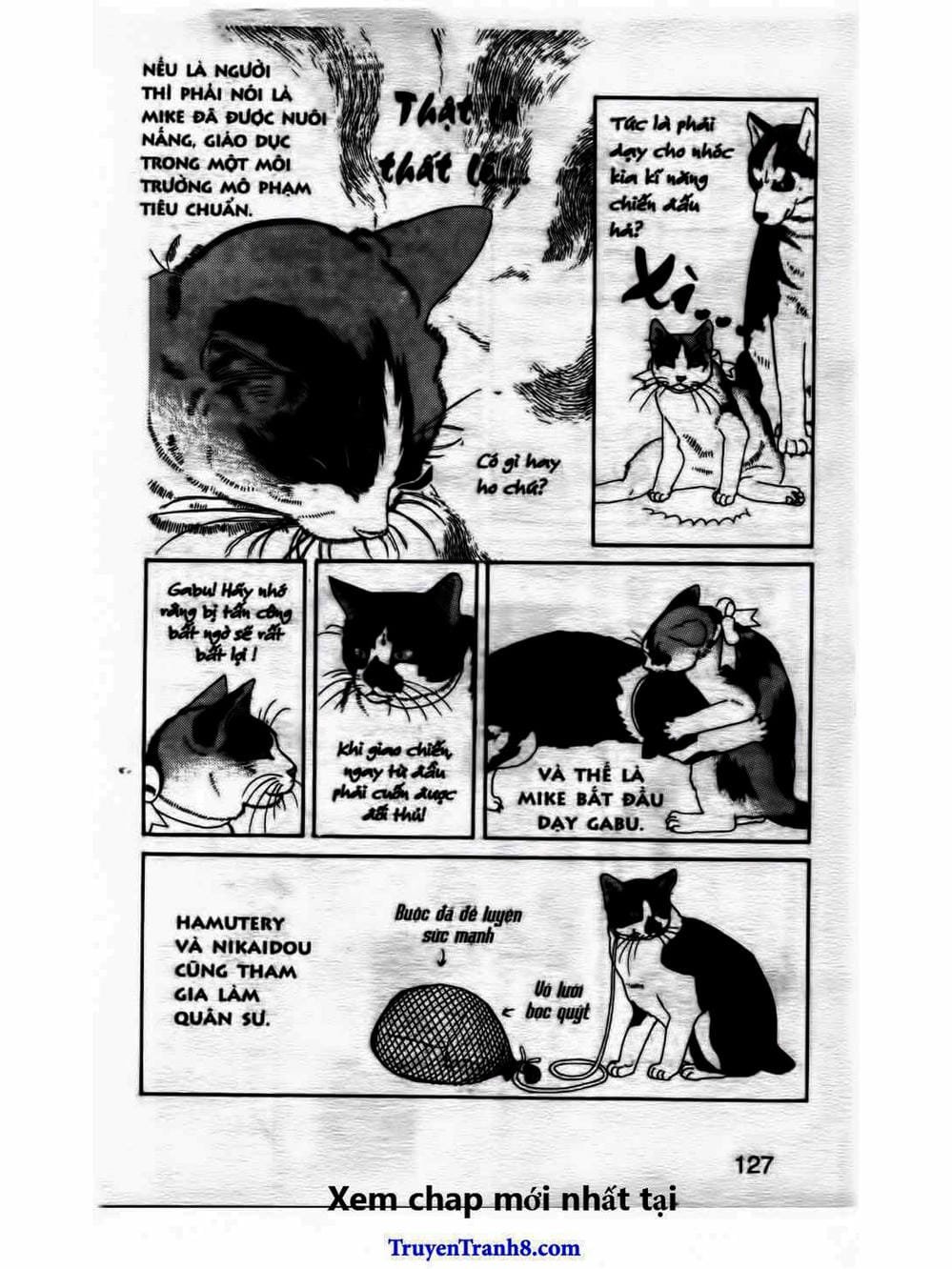 Truyện Tranh Bác Sĩ Thú Y - Doubutsu No Oisha-San trang 4