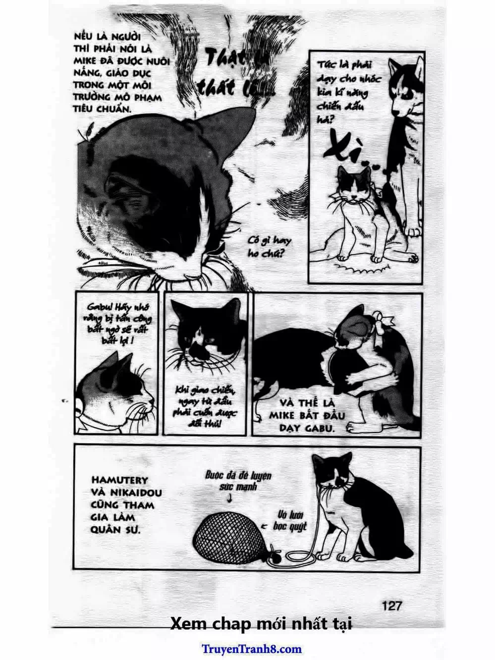 Truyện Tranh Bác Sĩ Thú Y - Doubutsu No Oisha-San trang 4