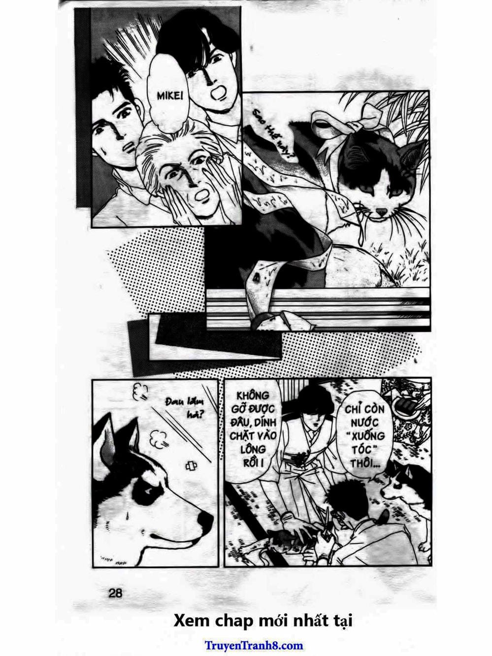 Truyện Tranh Bác Sĩ Thú Y - Doubutsu No Oisha-San trang 4