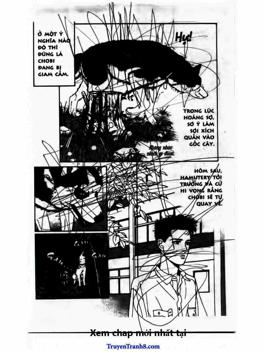 Truyện Tranh Bác Sĩ Thú Y - Doubutsu No Oisha-San trang 4