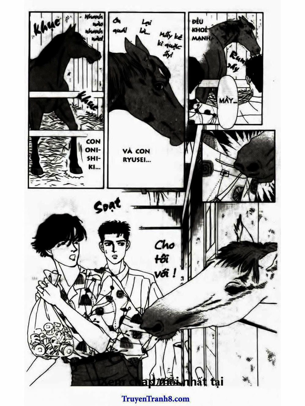 Truyện Tranh Bác Sĩ Thú Y - Doubutsu No Oisha-San trang 4