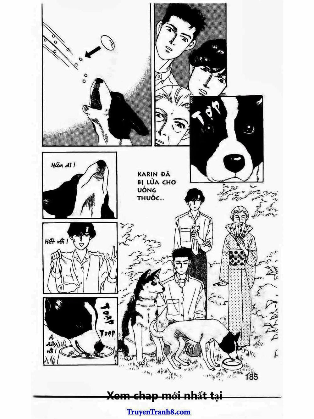 Truyện Tranh Bác Sĩ Thú Y - Doubutsu No Oisha-San trang 4