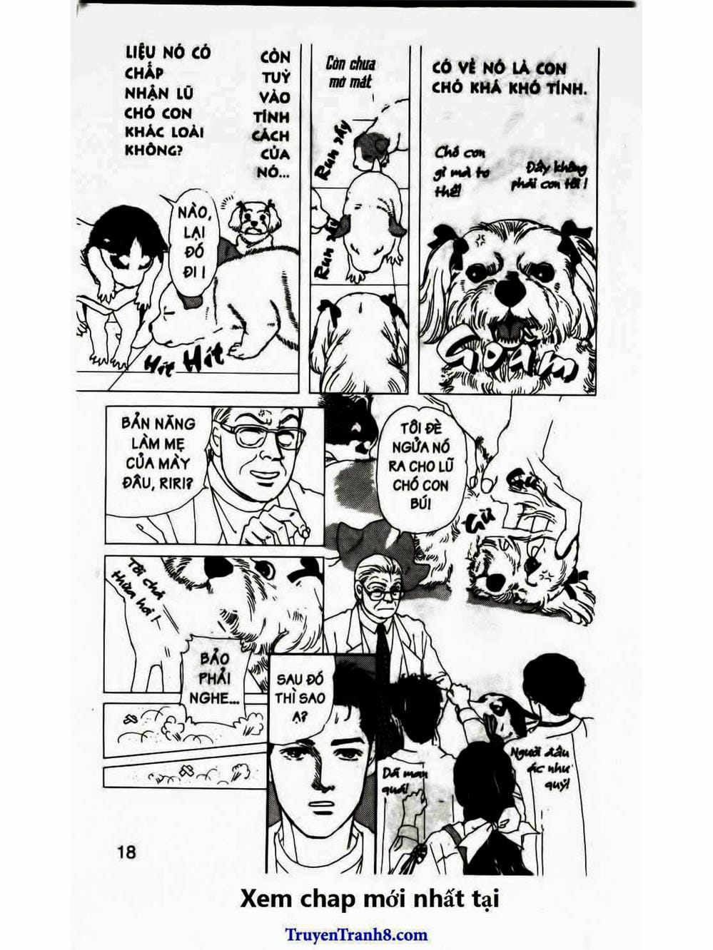 Truyện Tranh Bác Sĩ Thú Y - Doubutsu No Oisha-San trang 4