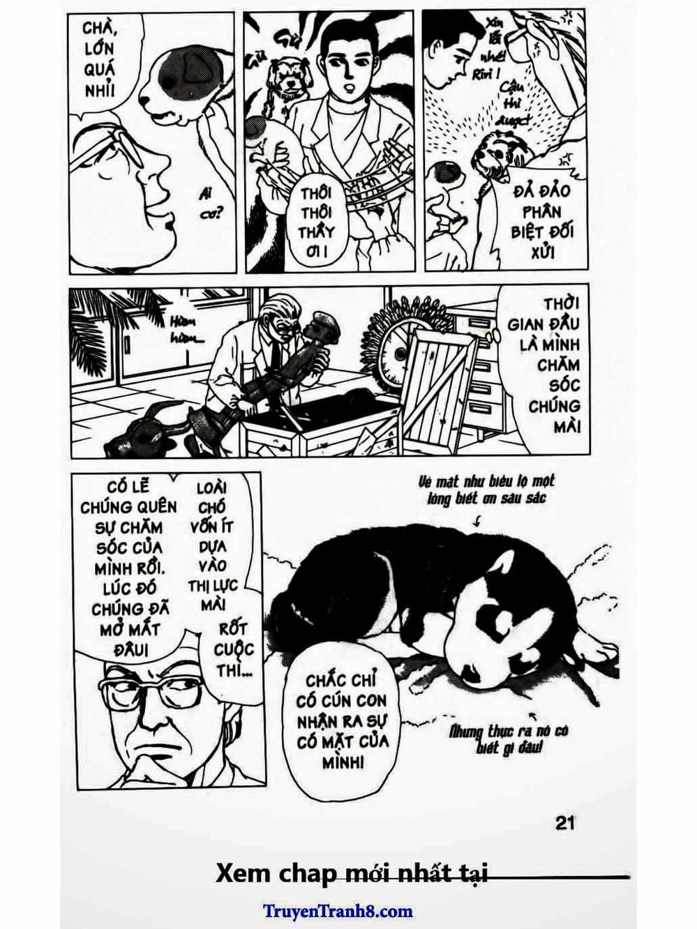 Truyện Tranh Bác Sĩ Thú Y - Doubutsu No Oisha-San trang 4