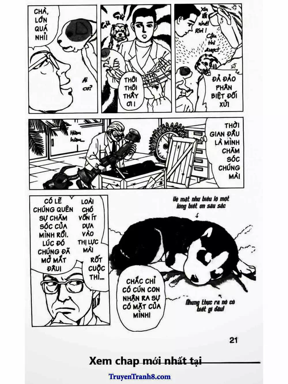 Truyện Tranh Bác Sĩ Thú Y - Doubutsu No Oisha-San trang 4