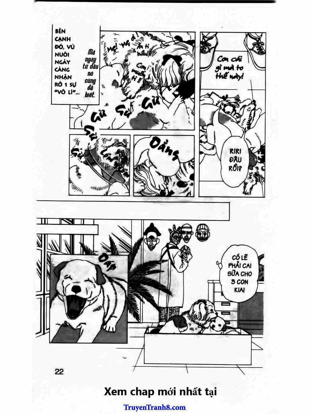 Truyện Tranh Bác Sĩ Thú Y - Doubutsu No Oisha-San trang 4