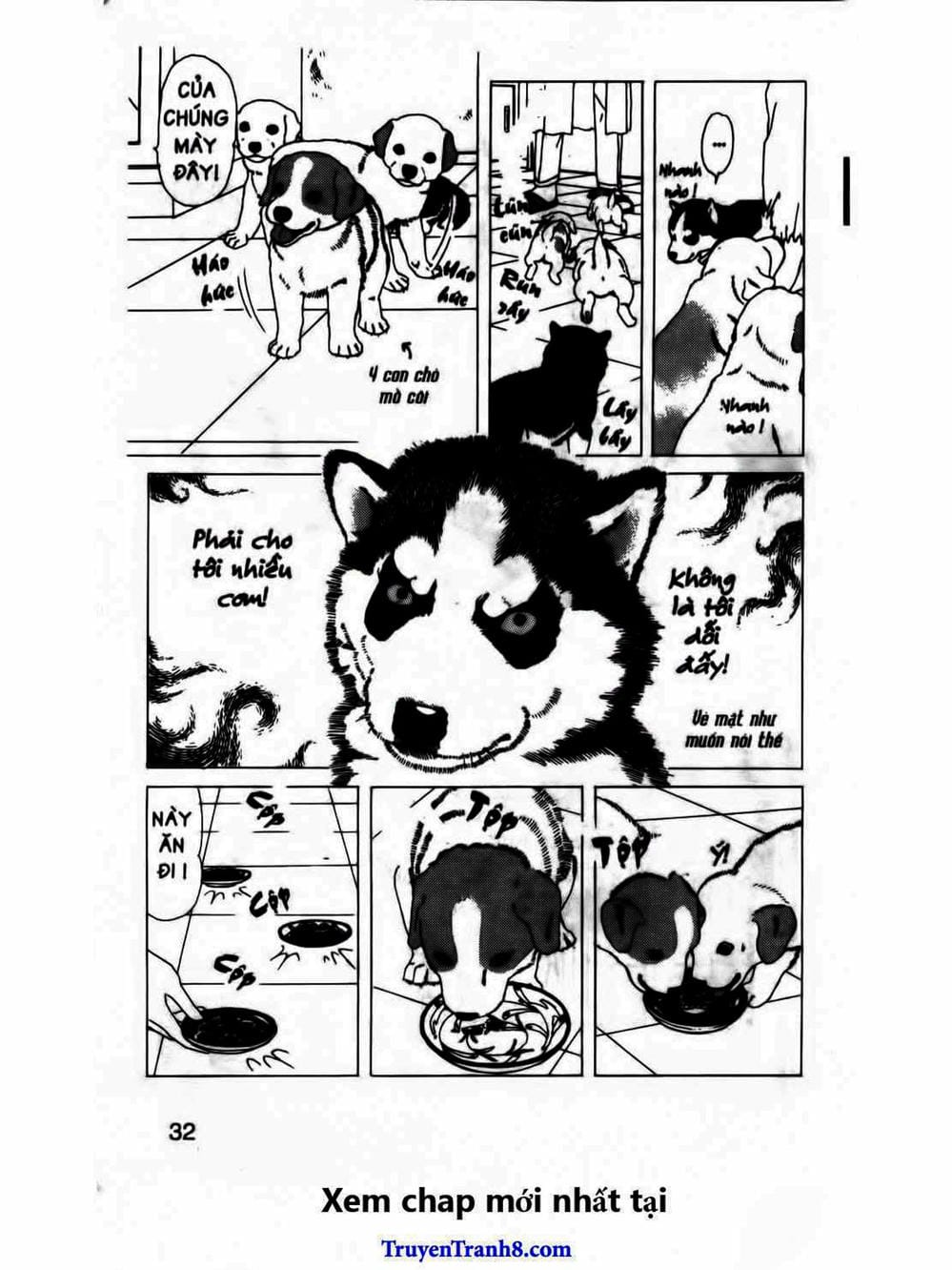 Truyện Tranh Bác Sĩ Thú Y - Doubutsu No Oisha-San trang 4