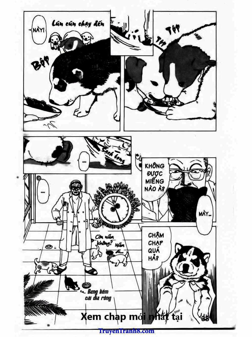 Truyện Tranh Bác Sĩ Thú Y - Doubutsu No Oisha-San trang 4