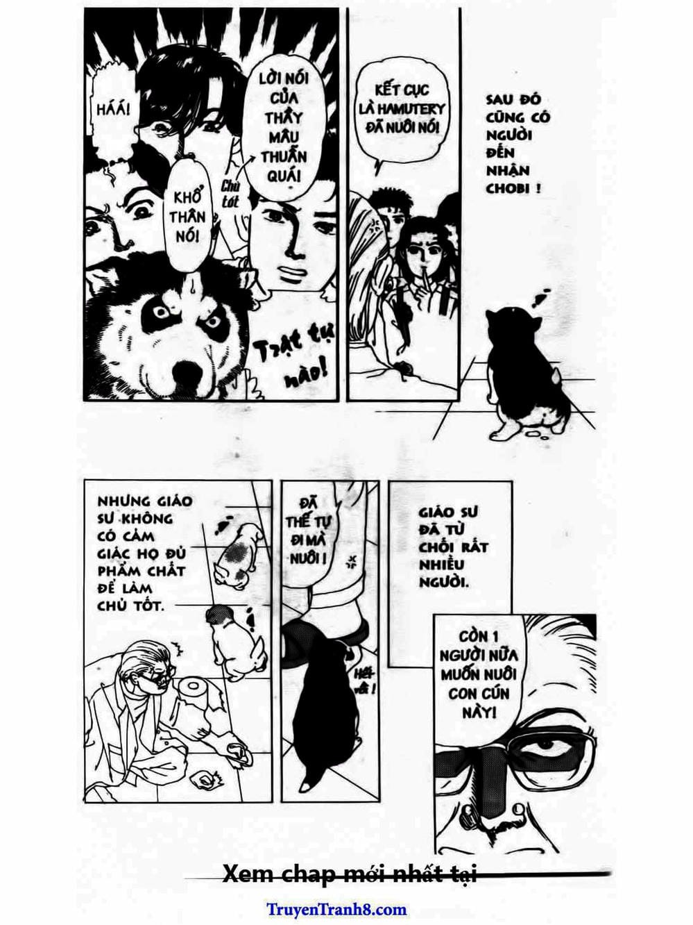 Truyện Tranh Bác Sĩ Thú Y - Doubutsu No Oisha-San trang 4