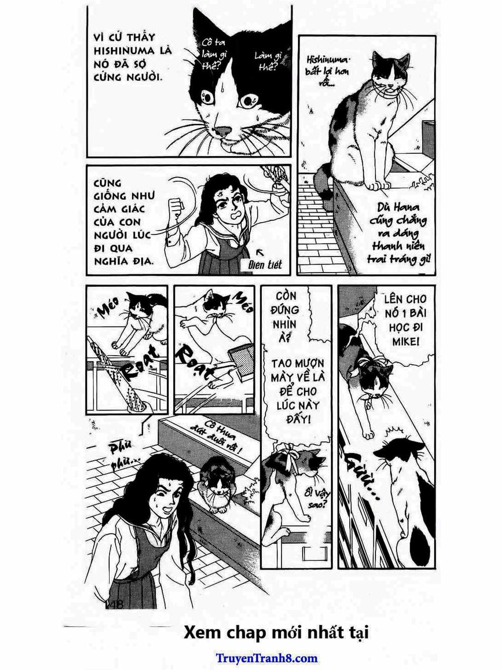 Truyện Tranh Bác Sĩ Thú Y - Doubutsu No Oisha-San trang 4