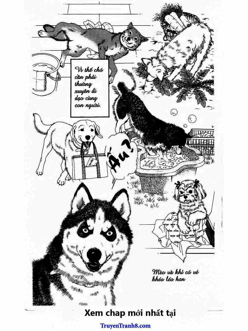 Truyện Tranh Bác Sĩ Thú Y - Doubutsu No Oisha-San trang 4